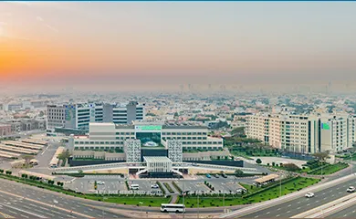 dubai-medical-city
